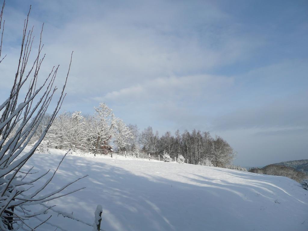 奥帕尔顿汽车旅馆 Raon-aux-Bois 外观 照片